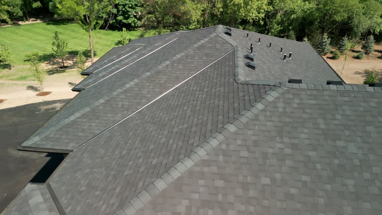 Best Roof Ventilation Installation  in Friend, NE